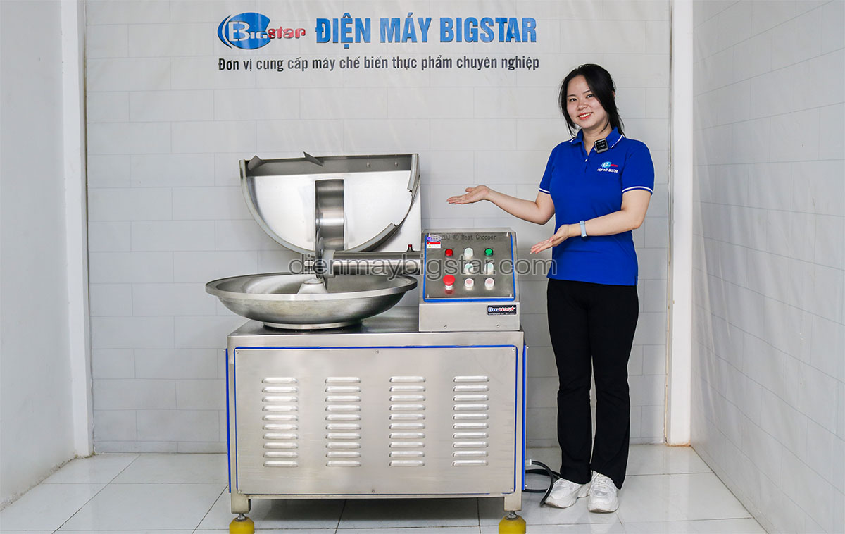 may bam nhuyen thit ZB 40 2.0