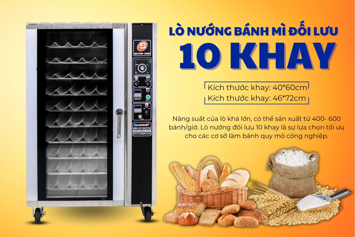 lo nuong banh mi doi luu 10 khay 1 1
