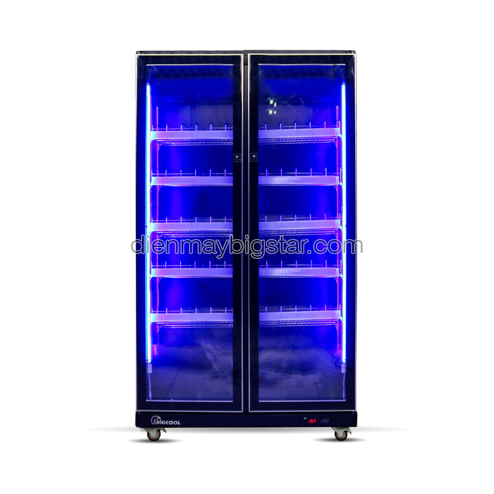 Tủ mát 2 cánh kính quạt lạnh Luxury LRY-1200 11 tu mat 2 canh quat lanh say kinh luxury lry 1200 tr re 1 1