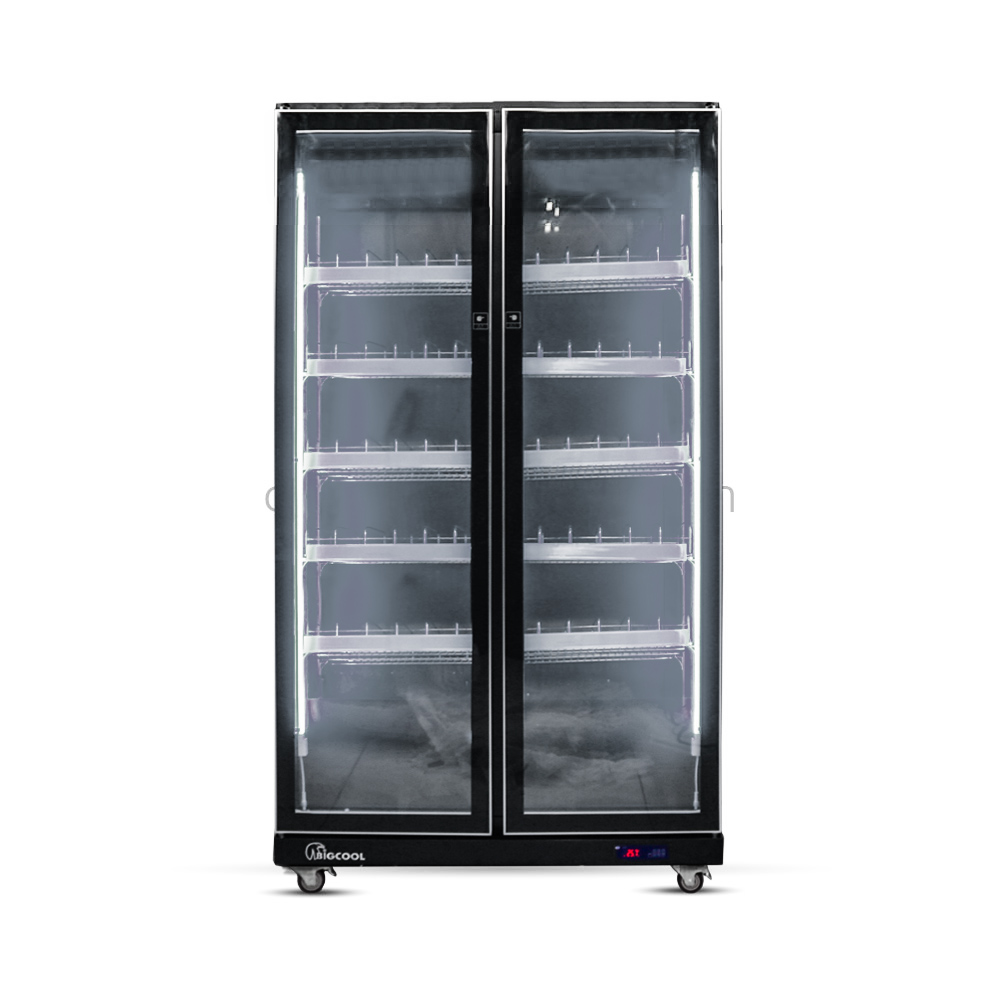 Tủ mát 2 cánh kính quạt lạnh Luxury LRY-1200 10 tu mat 2 canh quat lanh say kinh luxury lry 1200 tr re 1 trang