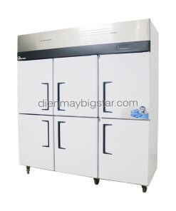 Tủ đông công nghiệp 6 cánh BigCool 12 tu dong 6 canh 1m8 bigcool tu 8