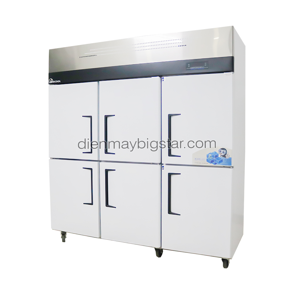 Tủ đông công nghiệp 6 cánh BigCool 10 tu dong 6 canh 1m8 bigcool tu 8