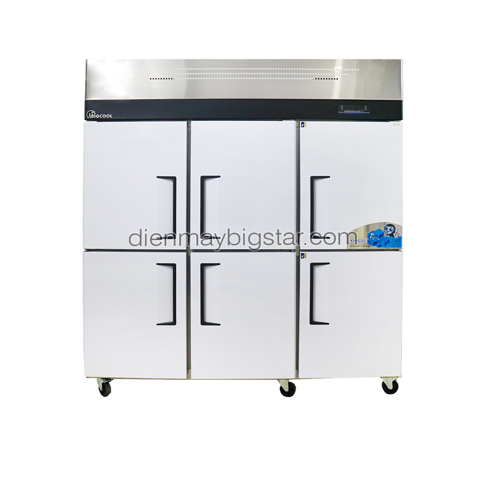 Tủ đông công nghiệp 6 cánh BigCool 8 tu dong 6 canh 1m8 bigcool tu 9