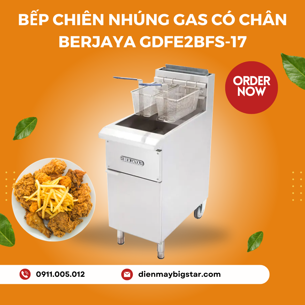 Bếp chiên nhúng gas có chân Berjaya GDFE2BFS-17