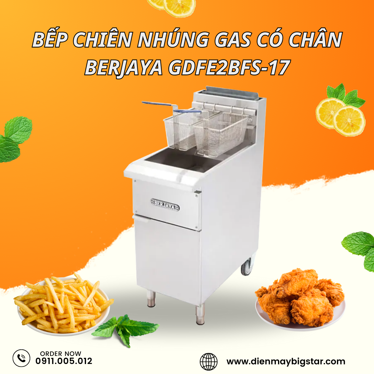 Bếp chiên nhúng gas có chân Berjaya GDFE2BFS-17