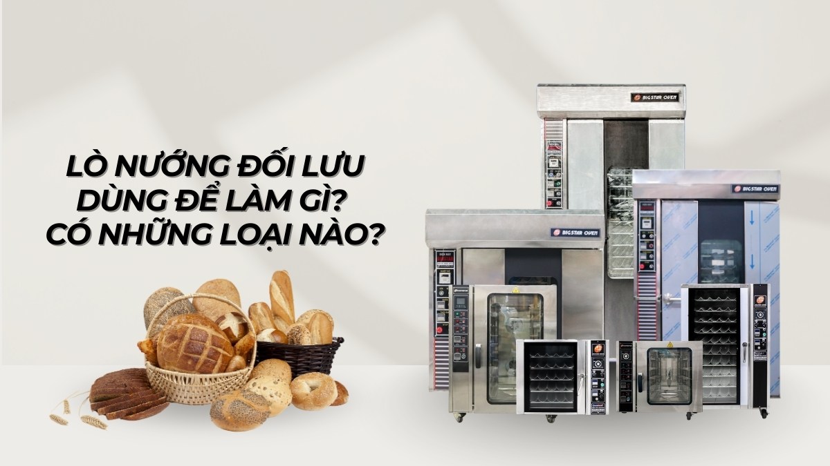 lò nướng đối lưu